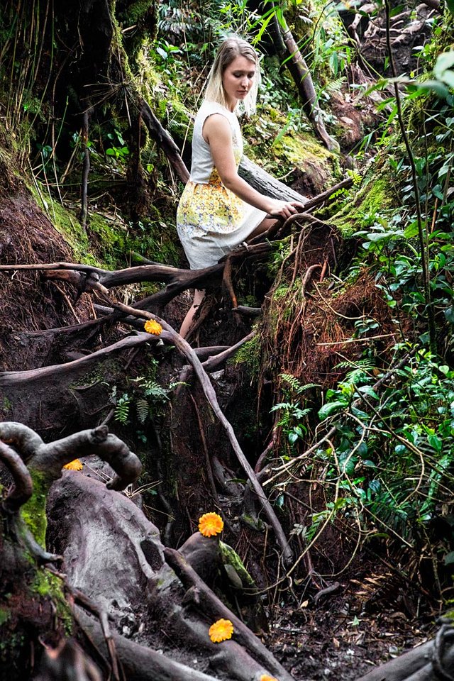 forest flower trail