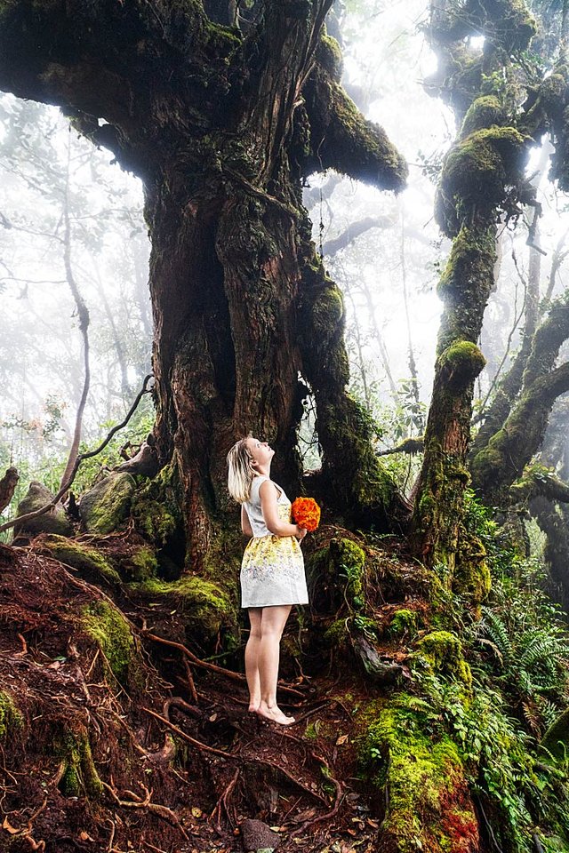 girl in forest