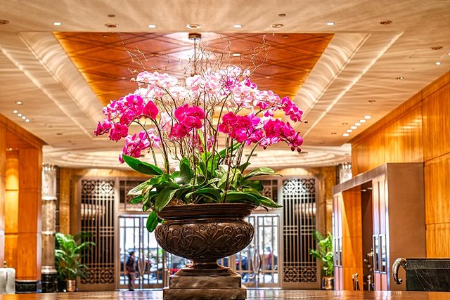 Orchid flowers at hotel lobby