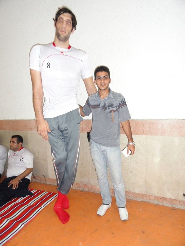 Top 10 World's Tallest People — Steemit