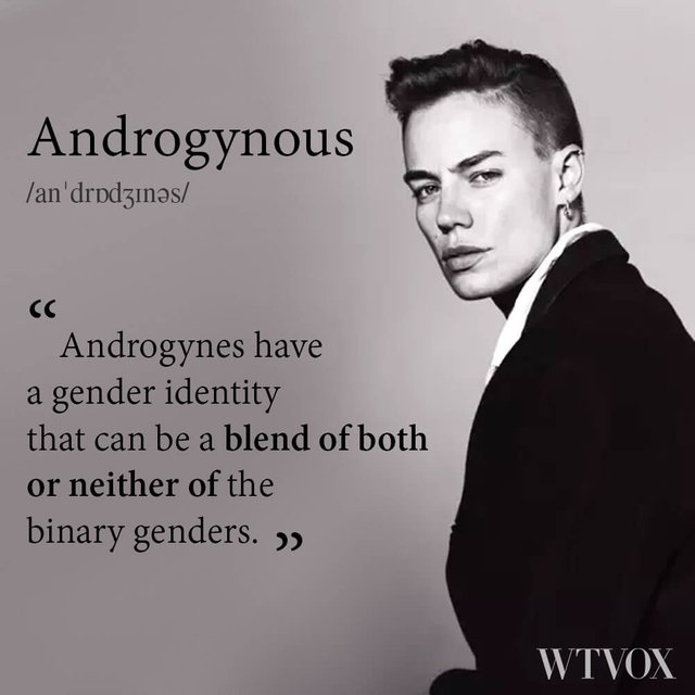 Androgynous definition