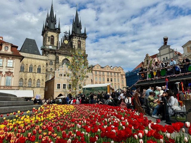 The big Ten church on Prague's old town square, with a big field of yellow and red tulips in front of it.