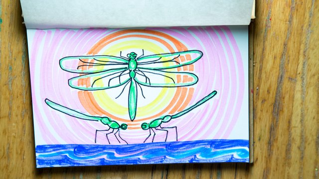 Dragonfly Sketch
