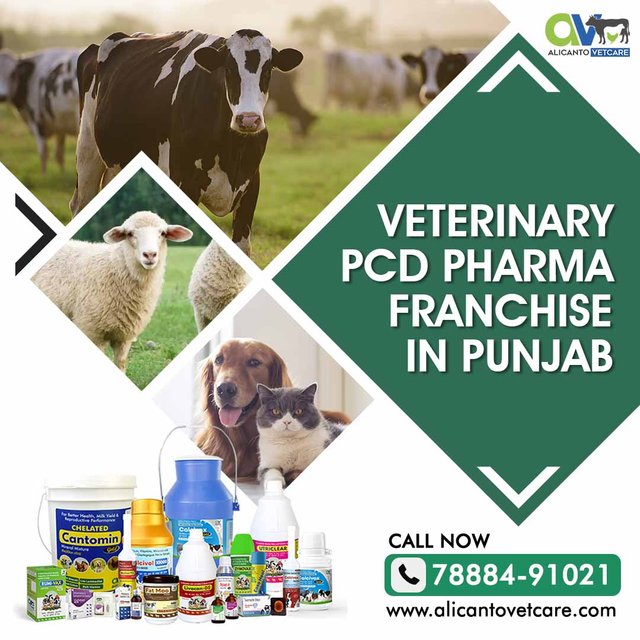 Veterinary PCD Pharma Franchise in Punjab