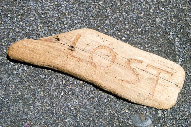 Lost Driftwood