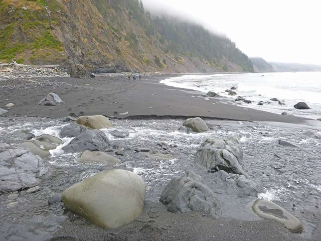 Lost coast adventure: Rugged Beaches