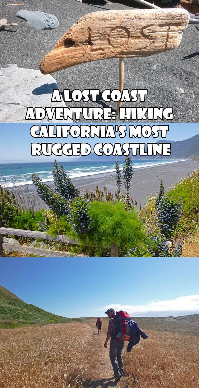 A Lost Coast Adventure: Hiking California's Most Rugged Coastline