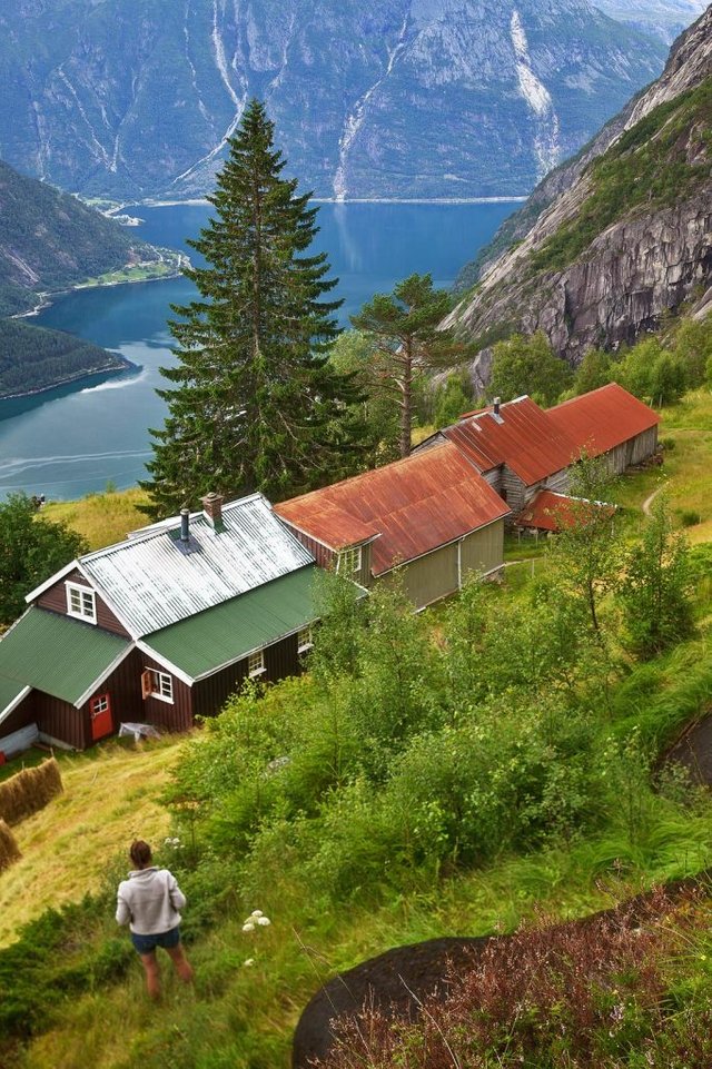 Awesome picturesque view of the Kjeåsen Mountain Farm and the Eidfjord.
