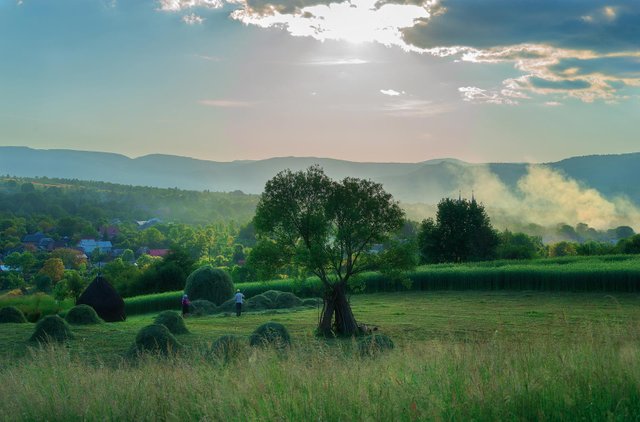 Farms in Breb