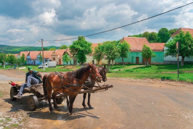 Moving up in the world. Two horsepower! Viscri village, Romania