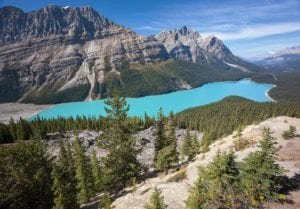 Peyto Lake in mid-afternoon. Calgary, Canada.