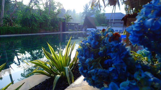 The stunning architecture and aesthetics of Balinese hotels
