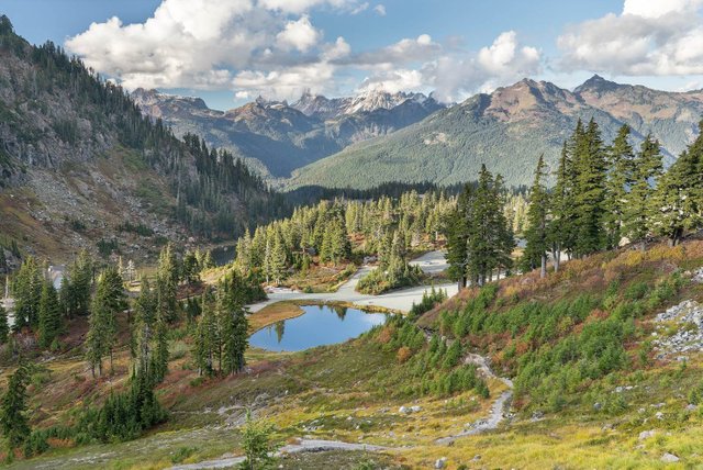 You can get an awesome view of Heather Meadows if you continue to drive up the Mt. Baker Highway