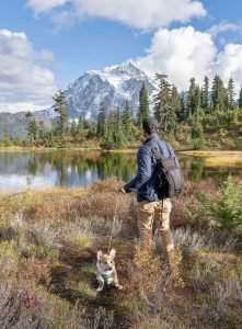 camping checklist with pet