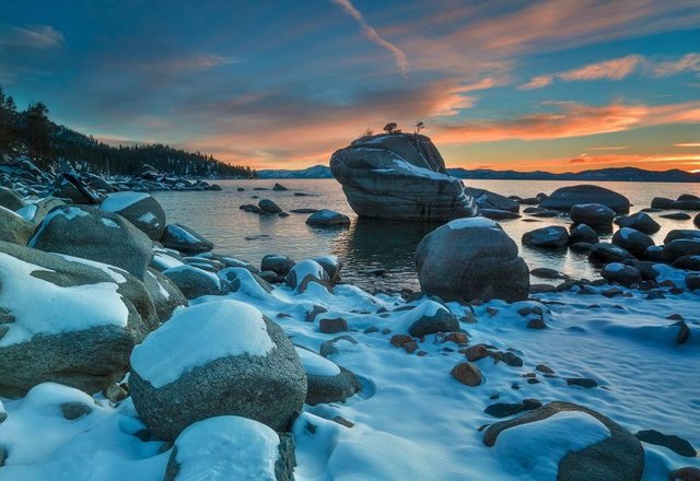 Bonsai Rock Winter