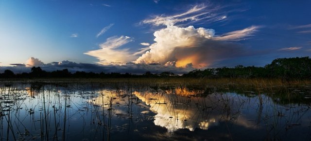 miami tours everglades