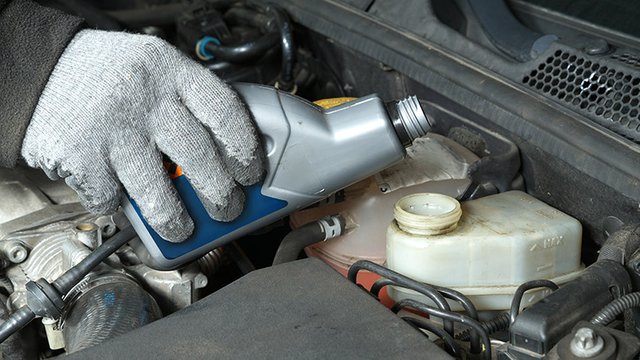 Keep an eye on the car’s fluids (Service My Car)