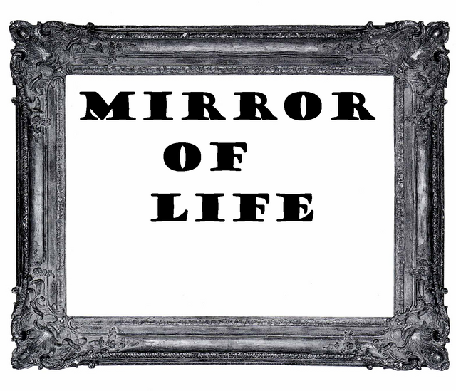 Mirroroflife