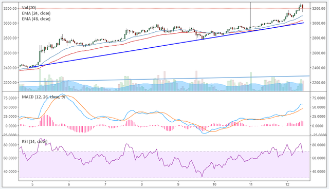 btc course period