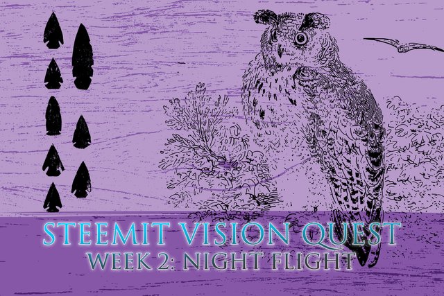 Steemit Vision Quest - Week 2: Night Flight