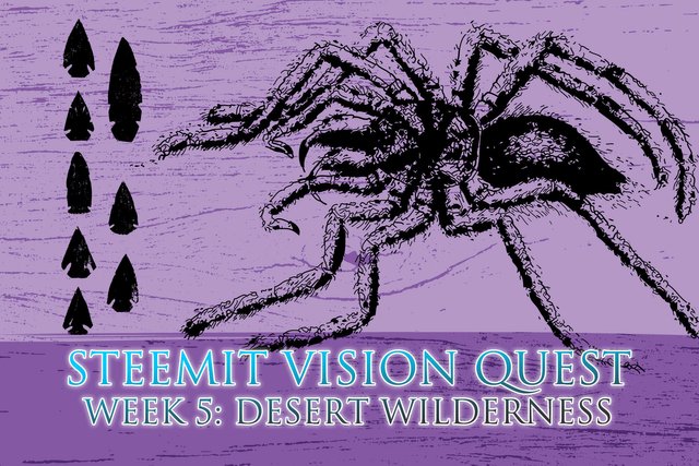 Steemit Vision Quest Week 5: Desert Wilderness