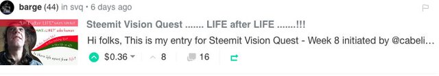 Steemit Vision Quest ....... LIFE after LIFE .......!!!