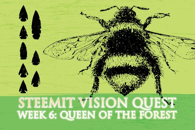 Steemit Vision Quest Week 6: Queen Of The Forest