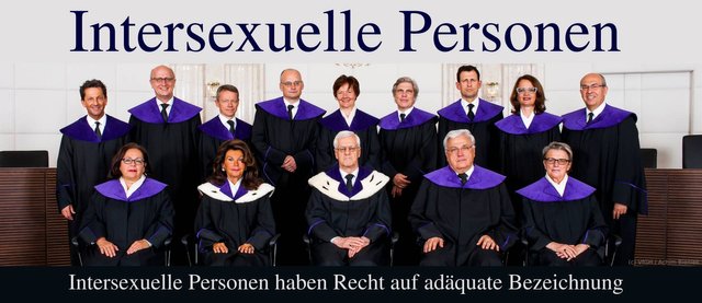 Intersexuelle Personen - Bild der Mitglieder des VfGH 2013-2017