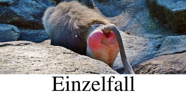 Einzelfall