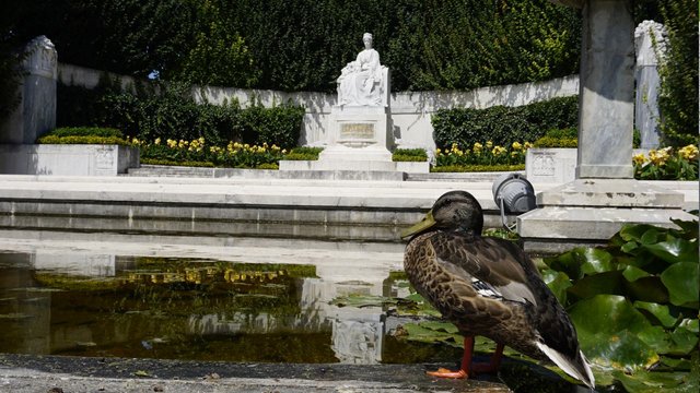 Sisi Kaiserin Elisabeth Statue Wien