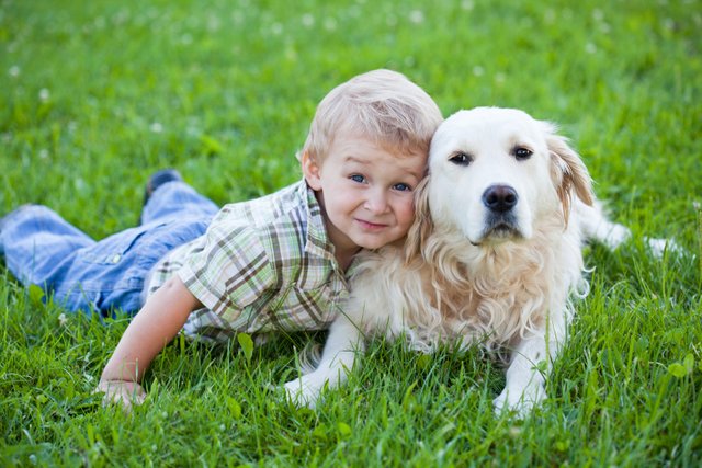 visual outcome with kids and dogs