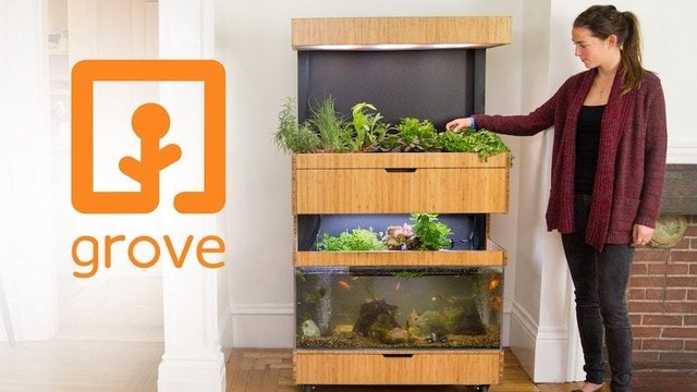 Grove-ecosystem-830x467.jpg