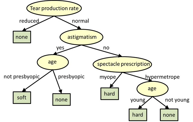 Example Decision Tree