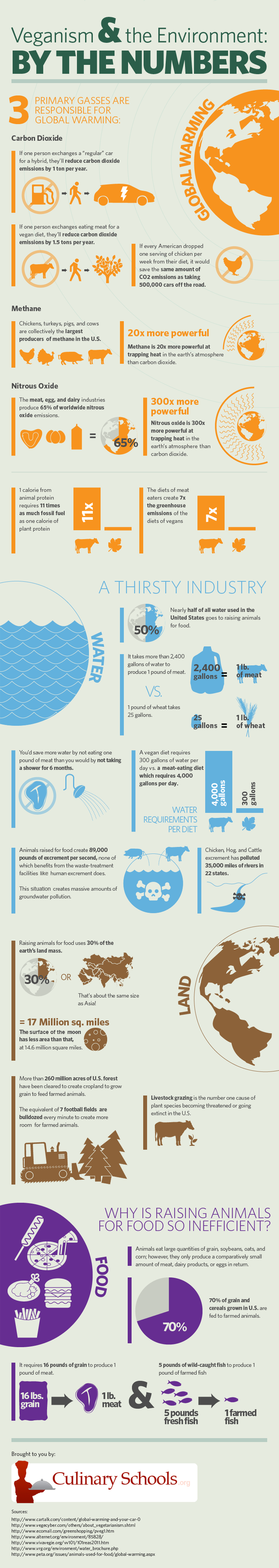veganism environmental impacts