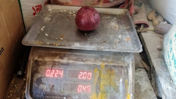 one Onion price