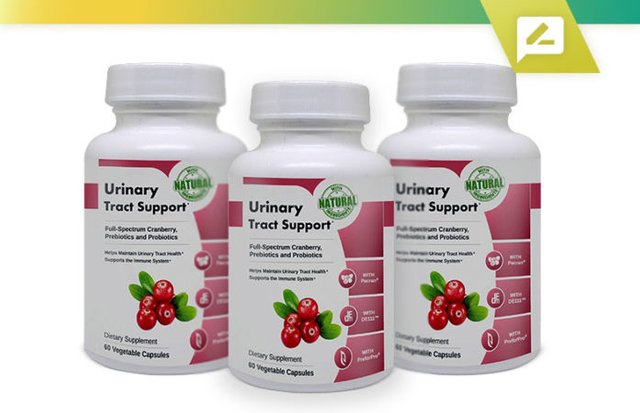 Urinary Tract Support Review