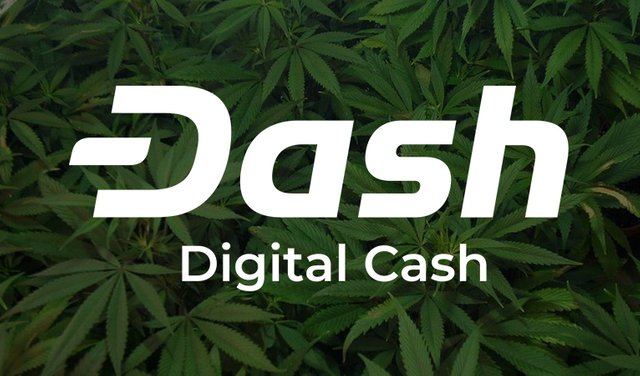 Dash Funded Cannabis Research Reduces Need for GMOs