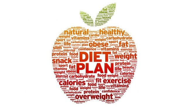 diet plan for weight loss for male