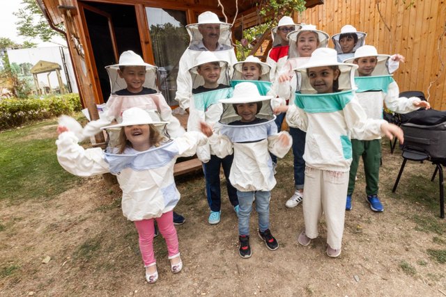 Earth Ecology School