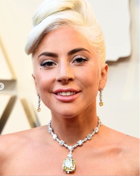 Showstoppers at Oscars 2019 Red Carpet