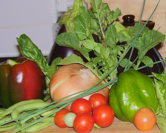Garden bounty - onions, peppers, brinjal, onion, beans, tomatoes