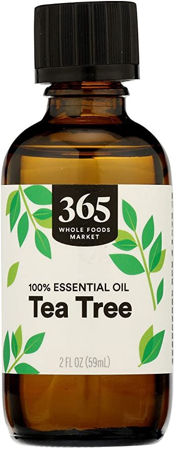 365 by WFM, Oil Essential Tea Tree, 2 Fl Oz Picture