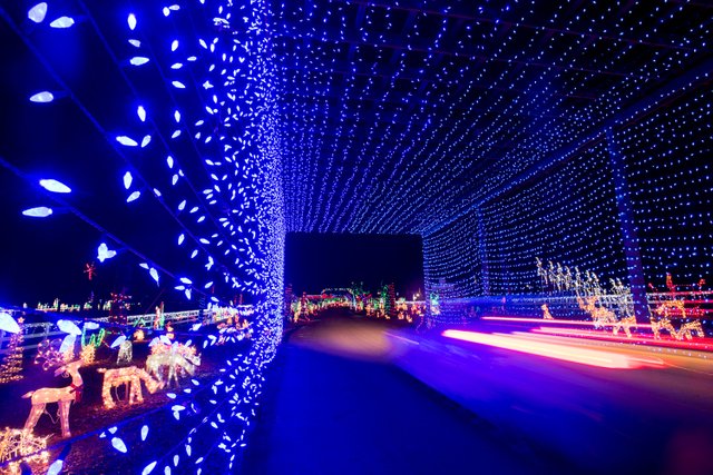 Christmas light