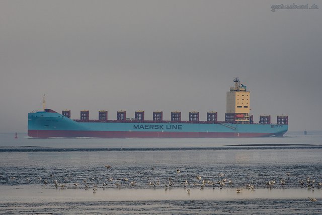 SCHIFFSABFAHRTEN JADEWESERPORT: Containerschiff VENTA MAERSK