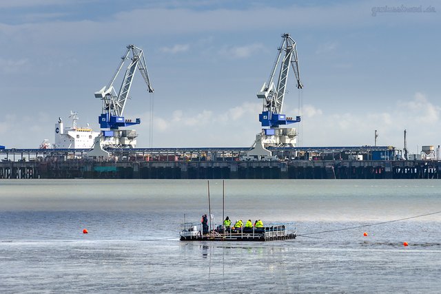 BULK TERMINAL WILHELMSHAVEN (BTW): Bulker CLIPPER VICTORY