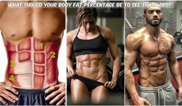 The Body Fat Percentage You Need to Achieve to See Abs