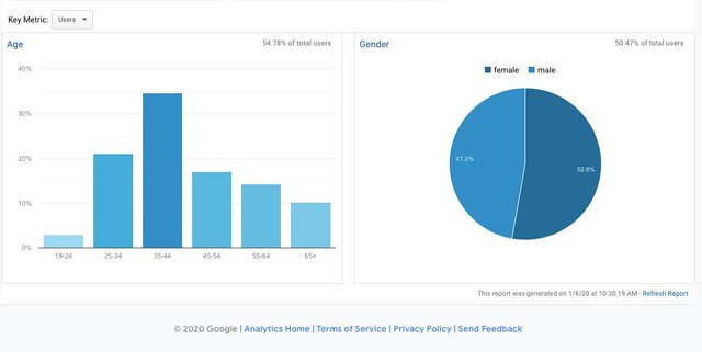 Statistika bloga had.si za leto 20193