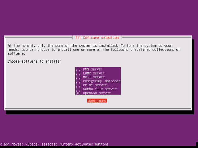 (https://www.howtoforge.com/images/ubuntu-18.04-bionic-beaver-minimal-server/ubuntu-server-18-04_27.png)