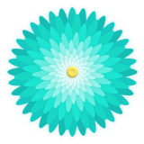flower-3142834_640.png