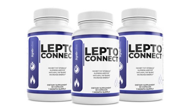 LeptoConnect Review